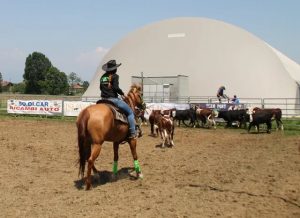 Corso di equitazione a Torino